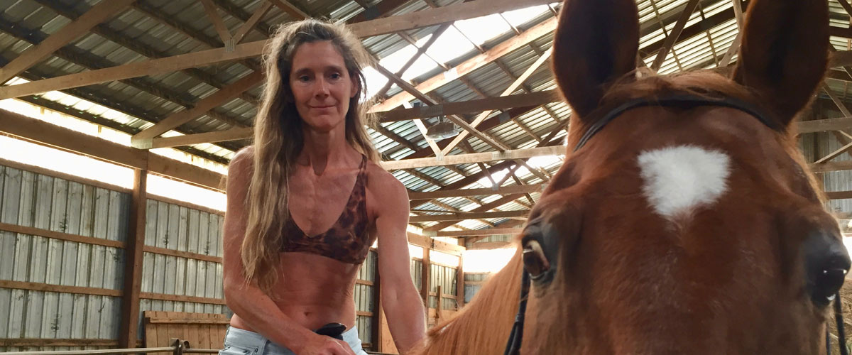 horse